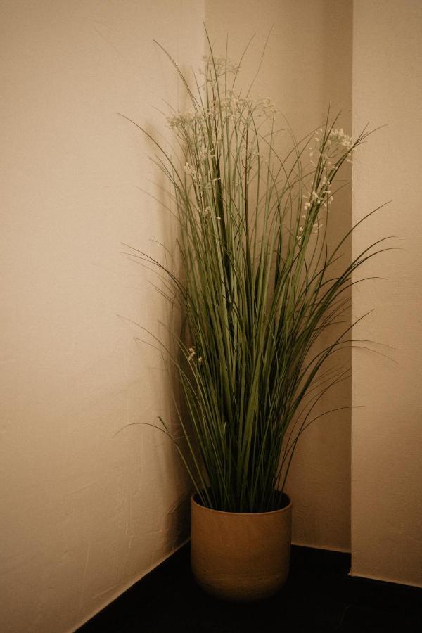 Huize Schaberg Bed and Breakfast Borgloon Esterno foto
